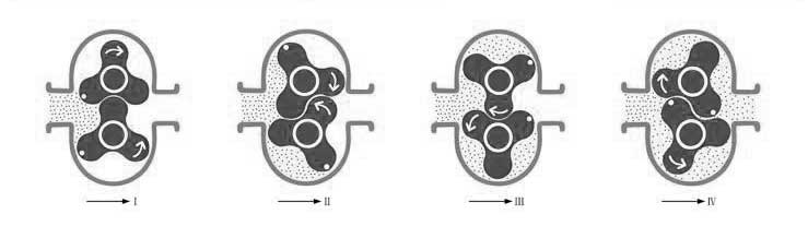RP系(xì)列不鏽鋼(gang)轉子泵