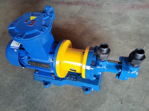 無洩(xiè)漏磁力螺(luo)杆泵