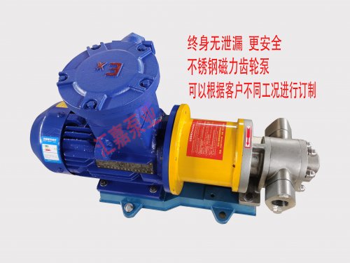 <b>磁力(lì)齒輪泵和(hé)常規齒輪(lun)泵的區别(bié)有哪些？</b>